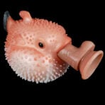 Blowfish Onahole Hentai Fantasy Pocket Pussy Show
