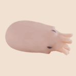 1.2lb Octopus Animal Pussy Pocket Hentai Onahole (6)