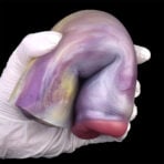 Blowjob Pocket Pussy Oral sex Toy Mouth Onahole with Air Pump (7)