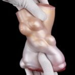 1.5lb Fantasy Cow Pussy Masturbator Male Stroker Animal Fantasy Toy (4)