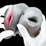 Dolphin Pocket Pussy Animals Pussies Fantasy Masturbaters (8)