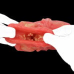 Fish Pocket Pussy Fantasy Masturbator Oral Sex Doll (10)