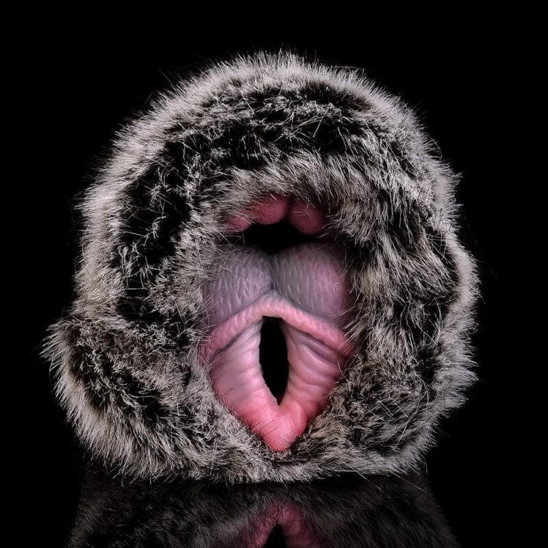 Furry Fantasy Pocket Pussy Fantasy Hentia Horse Blojob Furry fleshlight (2)