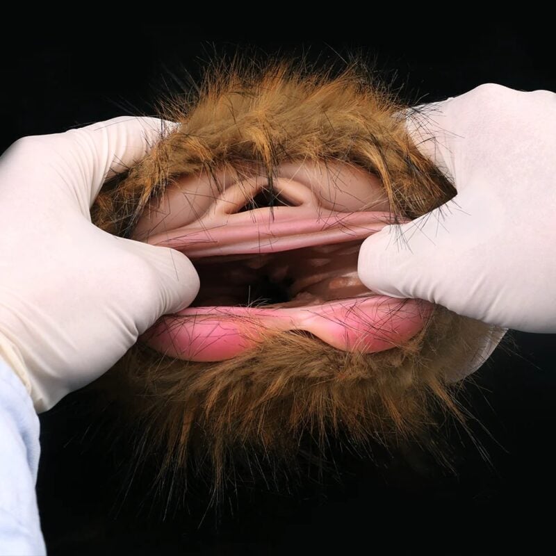 Furry Pocket Pussy Furry Sex Doll Realistic Pussy Animal Masturbator (5)