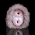 Furry Pussy Pocket Animal Hairy Masturbators Furry Fleshlight (6)