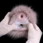 Furry Pussy Pocket Animal Hairy Masturbators Furry Fleshlight (8)