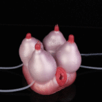 Cow Tits Pocket Pussy Sucking Breast Stroker Nipple Onahole 3