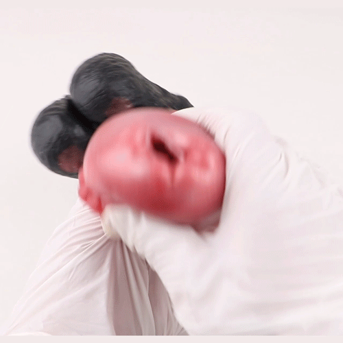 1.3lb Horse Penis Masturbator Toy Horse Fleshlight_3