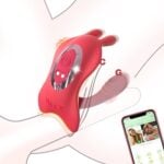 Remote Control Vibrator Couple Vibrator Vibrating Panties (2)