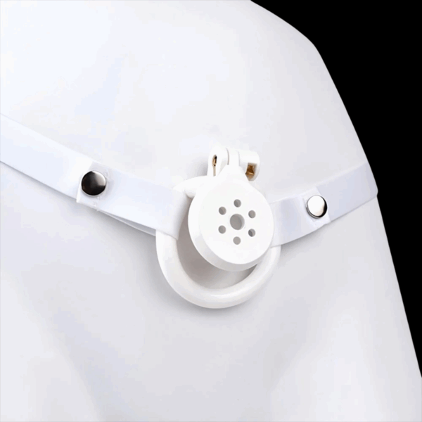 3d Printed Chastity Cage 20