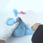 Dragon Hentai Futa Sex Doll Torso gif