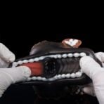 Dog Pussy Pocket Animal Masturbator (5)