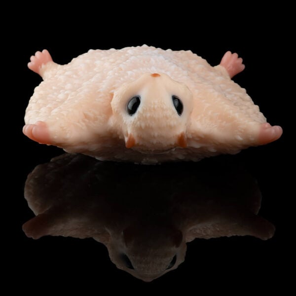 Flying Squirrel Animal Sex Doll Fantasy Sex Toy Fetish (3)