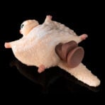 Flying Squirrel Animal Sex Doll Fantasy Sex Toy Fetish (7)