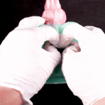 Fantasy Silicone Monster Pocket Pussy Futa Sex Toys4