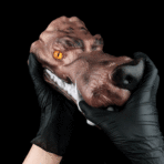 Gloved hands hold a realistic brown dog head mask with orange eye against a black background.