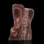 3D abstract anatomical sculpture with two ear-shaped lobes on the sides and a ribbed, spine‑like central column.