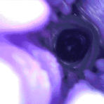 Close-up view into a dark circular lumen bathed in purple light (abstract macro shot).