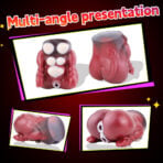 Collage of four red silicone anatomical models shown from different angles on a white backdrop, set against a dark red background.