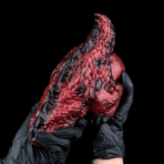 Close-up of dragon pussy holding a red, textured flesh-like prop against a black background.