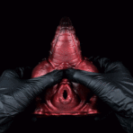 Close-up of a red, textured dragon pussy being held by gloved hands against a black background.