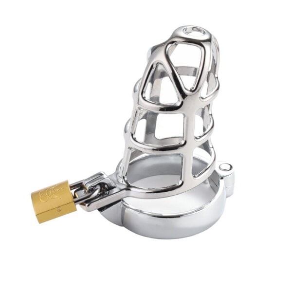 Caught In Her Web Chastity Device