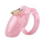 The Small Sad Pink Excuse Chastity Cage