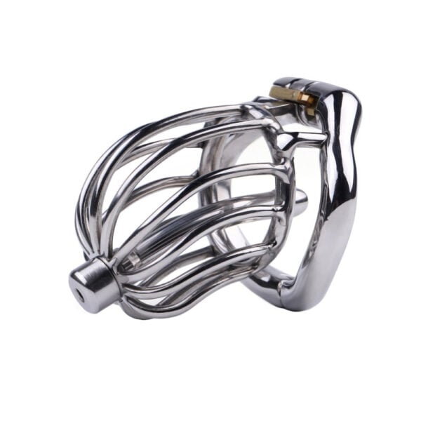 Pleasurable Pain Stainless Steel Urethral Sounding Chastity Cage