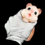 Hamster Pocket Pussy Furry Fleshlight