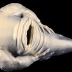 Saurian - Fantasy Monster Alien Pocket Pussy3