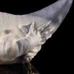 Saurian - Fantasy Monster Alien Pocket Pussy4