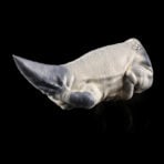 Saurian - Fantasy Monster Alien Pocket Pussy6